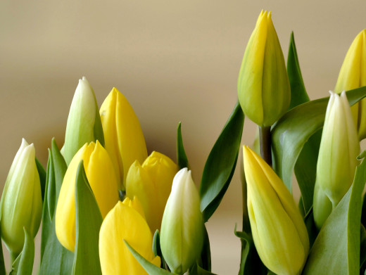 658722 (a): :2600x1951